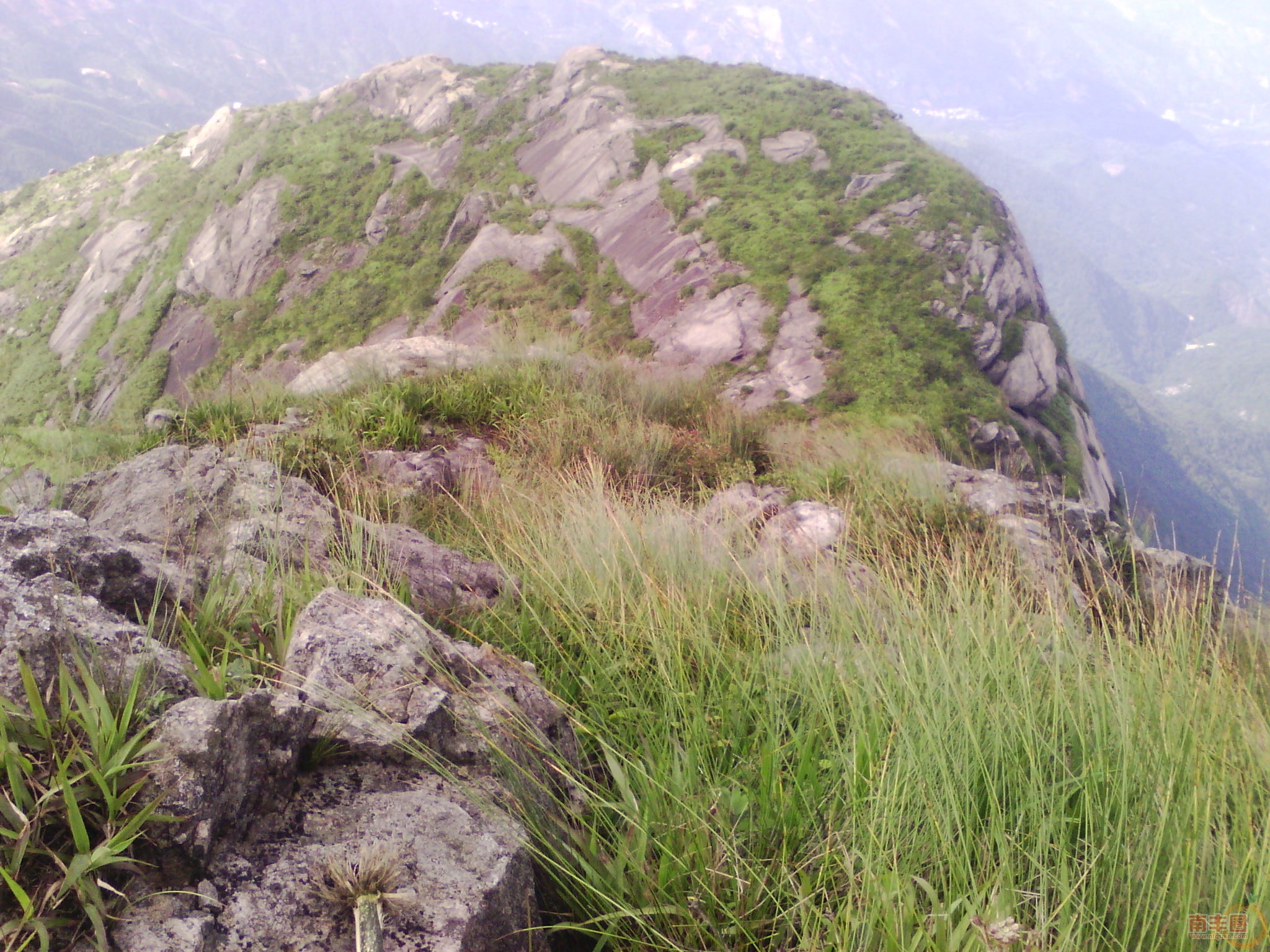 IMG_20130704_162952.jpg