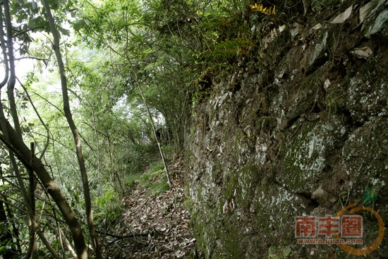 2011060211420412445.jpg