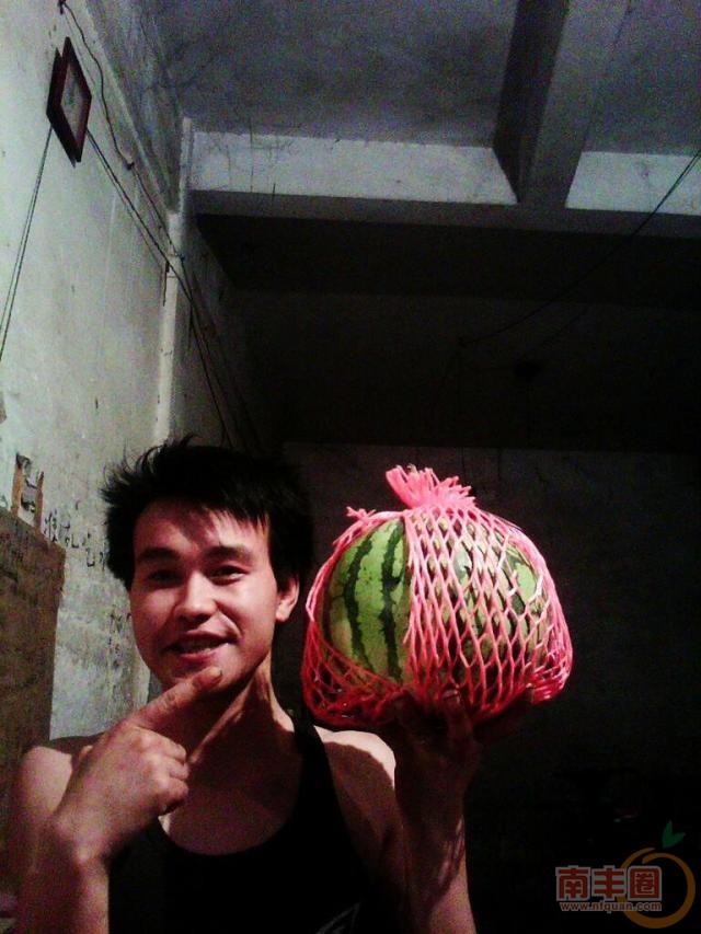 西瓜.jpg