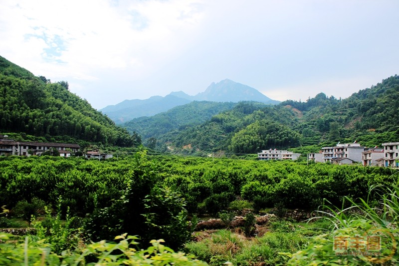 IMG_1641_副本.jpg