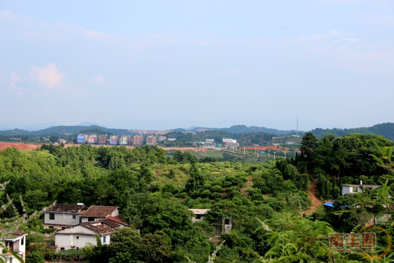 IMG_2595_副本.jpg