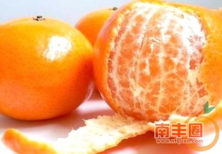 thumb_53d6f62db10cc.jpg