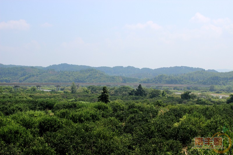 IMG_6156_副本.jpg