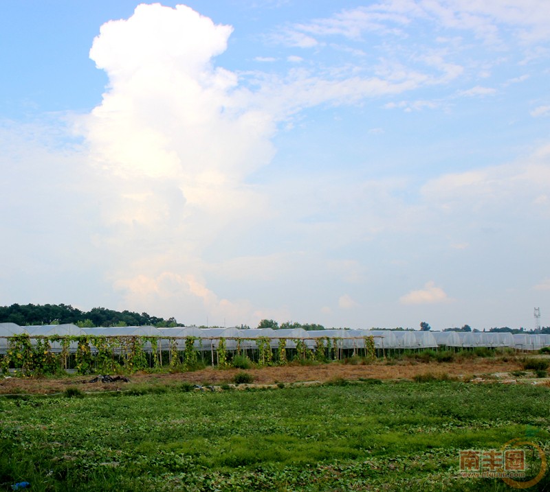IMG_6200_副本.jpg