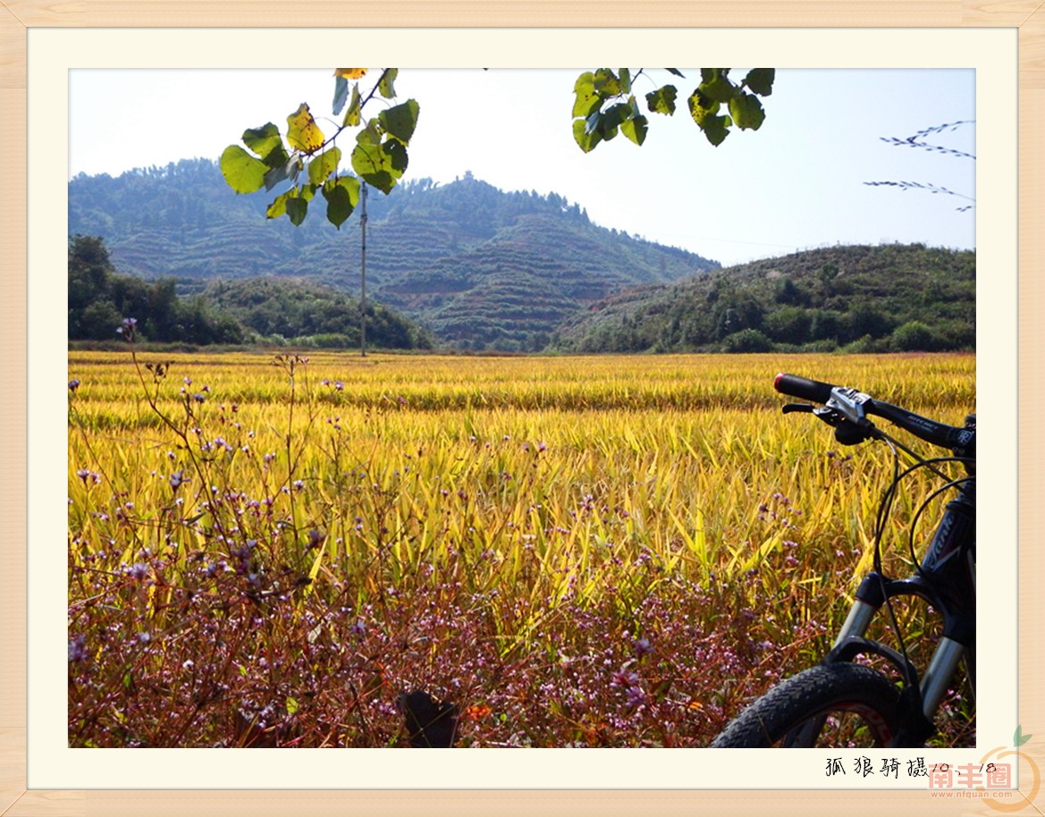 DSCF1515_副本.jpg