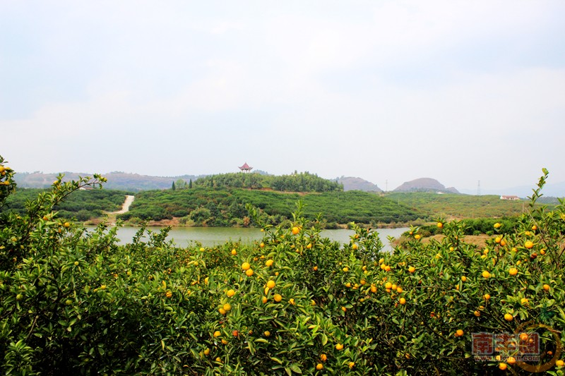 IMG_9377_副本.jpg