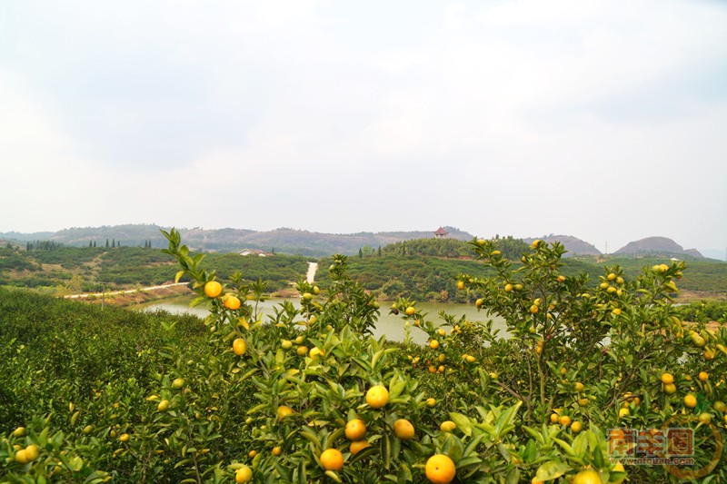 DSC_0639_副本.jpg