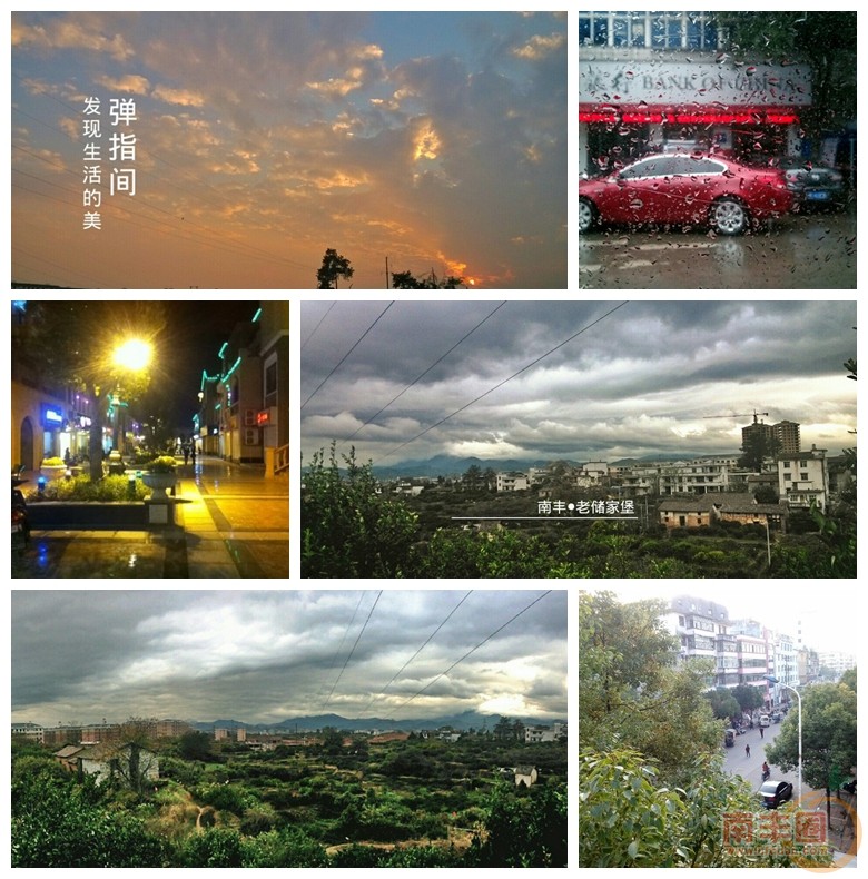 55445.jpg
