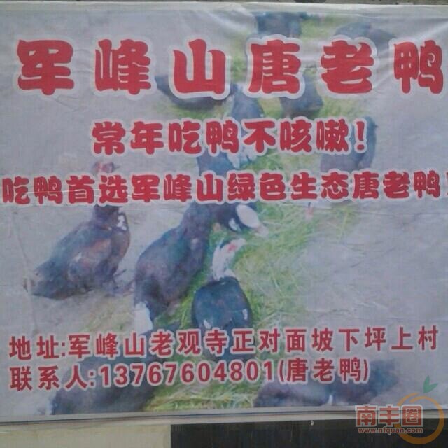 081613xwzsdi1rdscqccd1.jpg