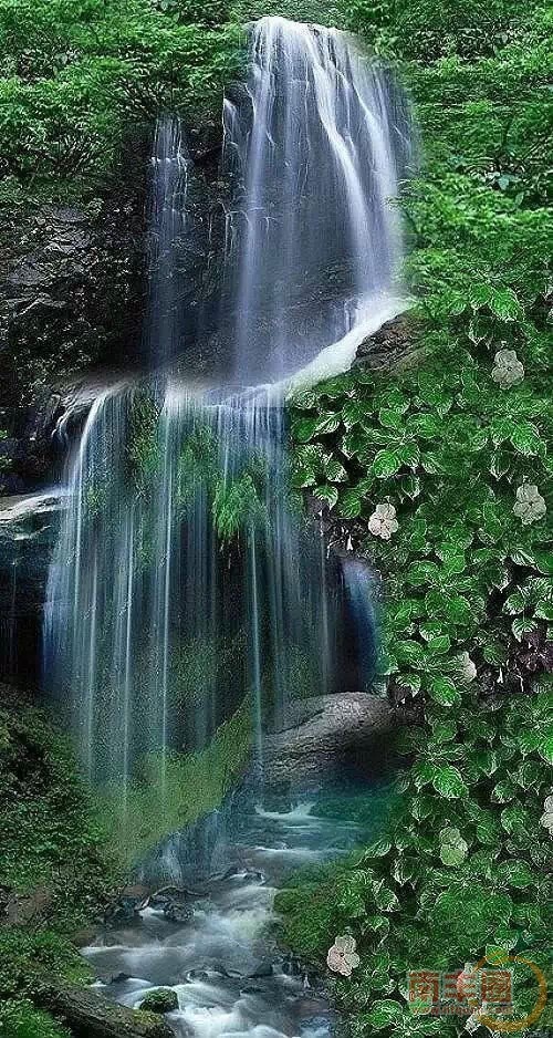 7.webp.jpg
