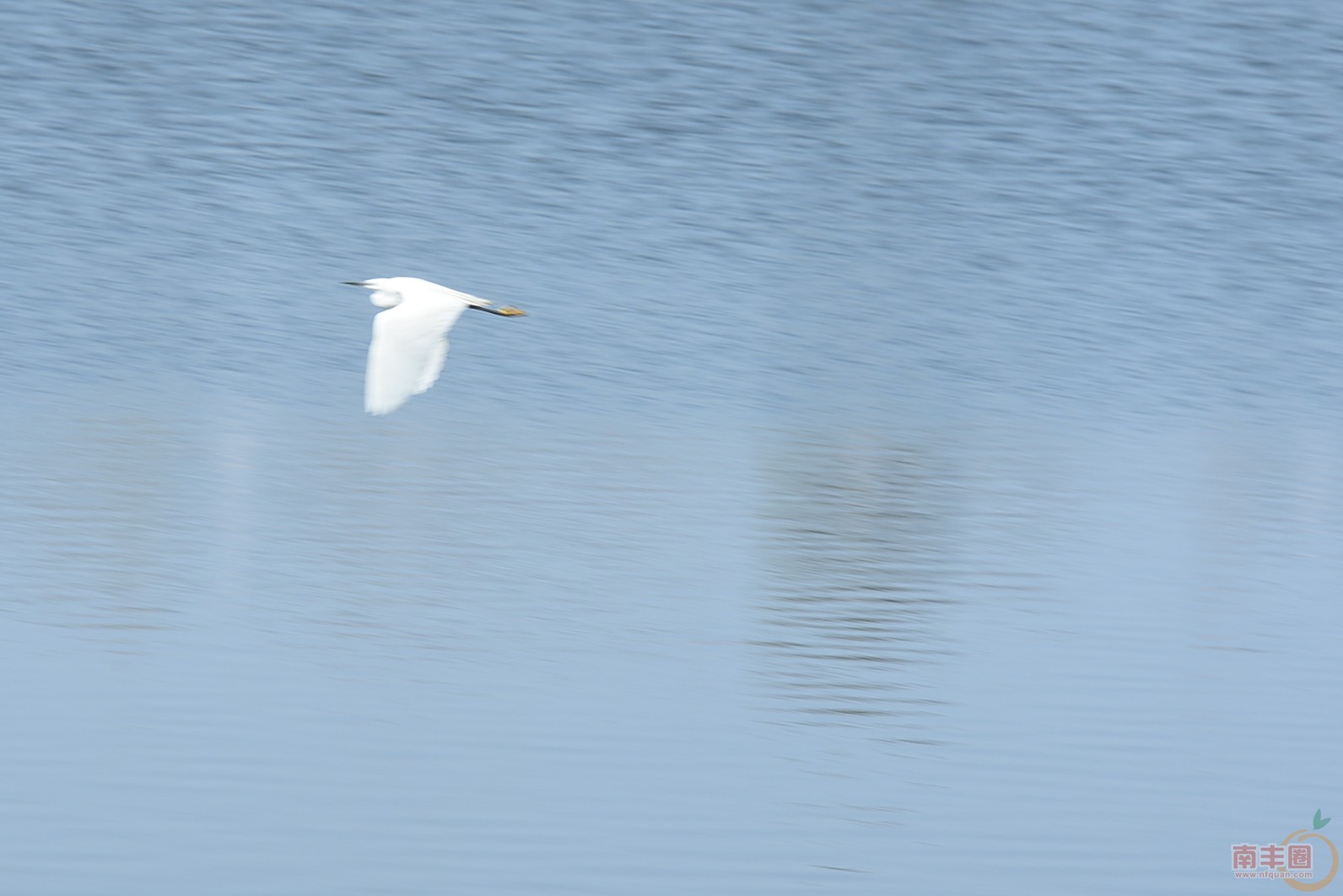 DSC_0193.jpg