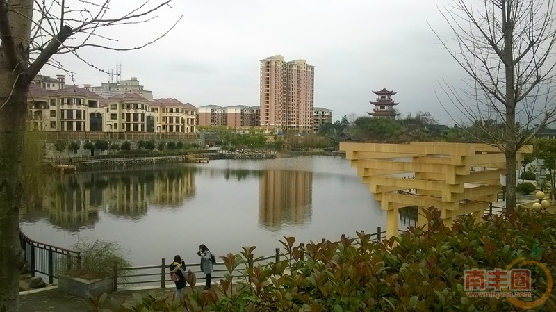 1a琴湖5.jpg