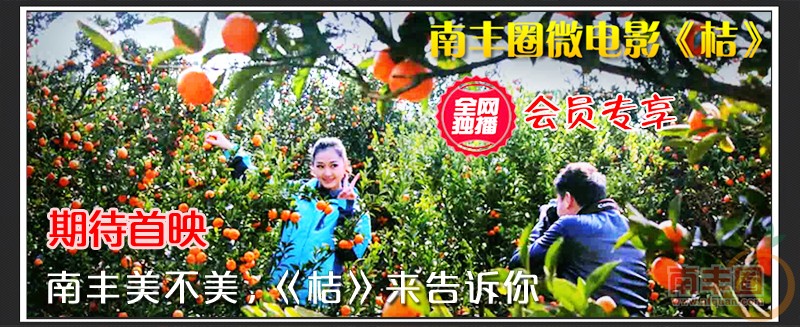 桔1.jpg