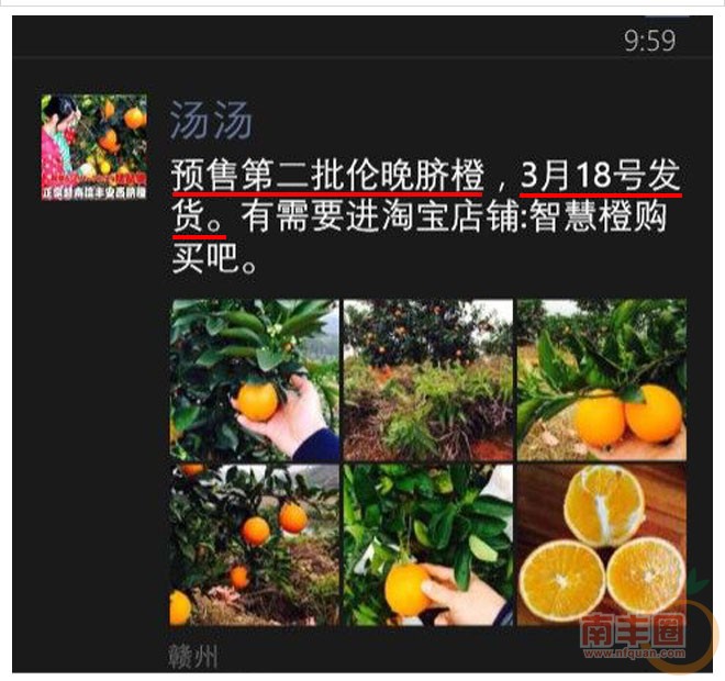 橙子_02.jpg