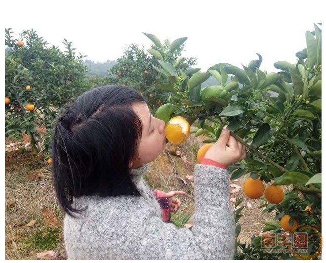 橙子_03.jpg