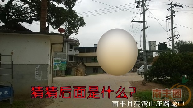 0.jpg