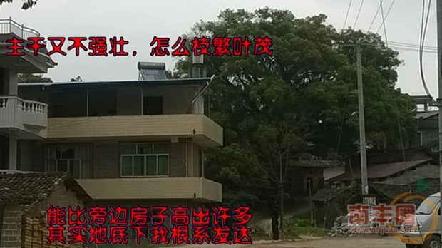 02.jpg