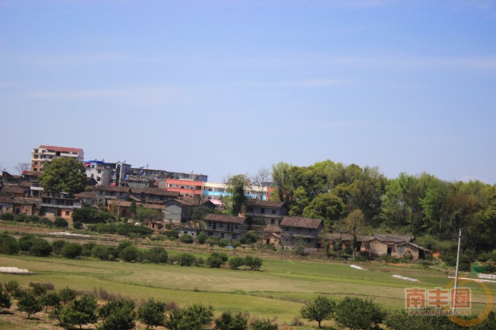 14a.jpg