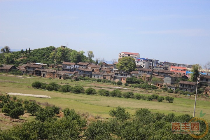 15a.jpg