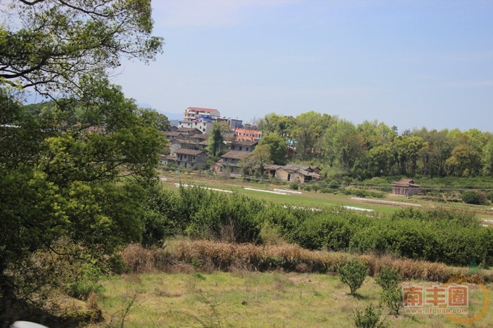 16a.jpg
