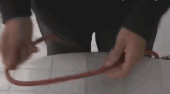 7.gif