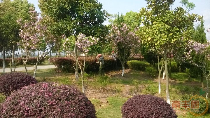 烈士墓环境5.jpg