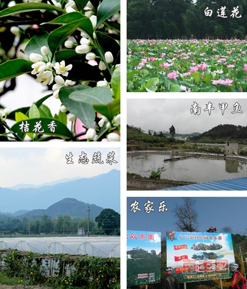 未命名_副本.jpg
