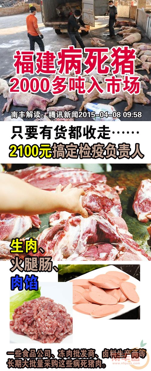 病死猪_01.jpg