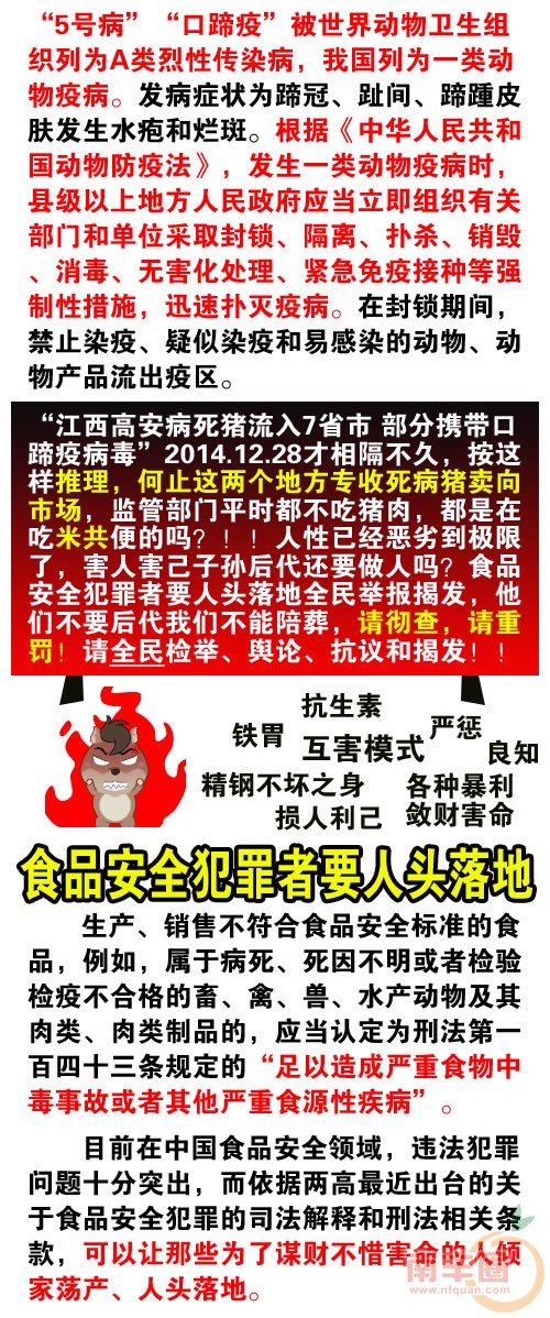病死猪_03.jpg