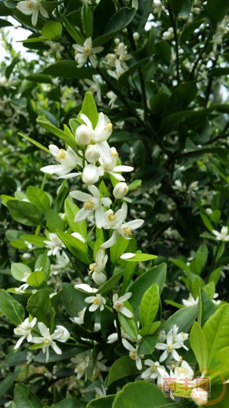 20150411_123016.jpg