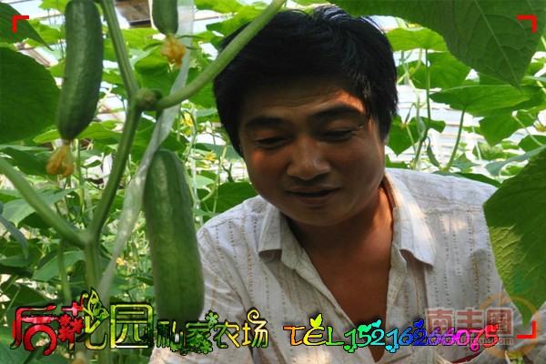 实拍6.jpg