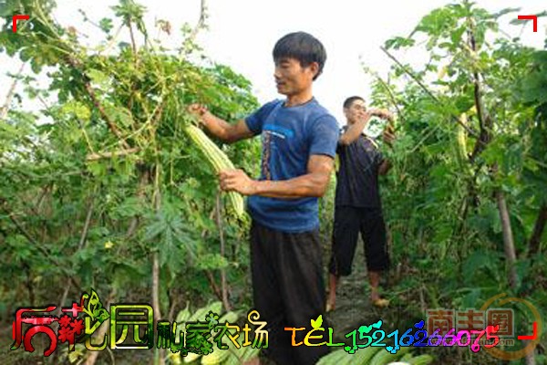 实拍5.jpg