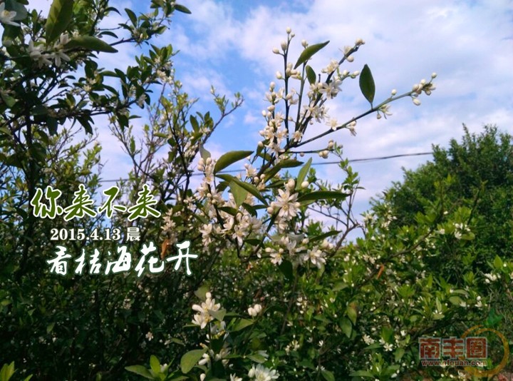 你来不来2.jpg