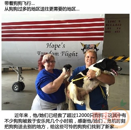 救援狗狗_03.jpg