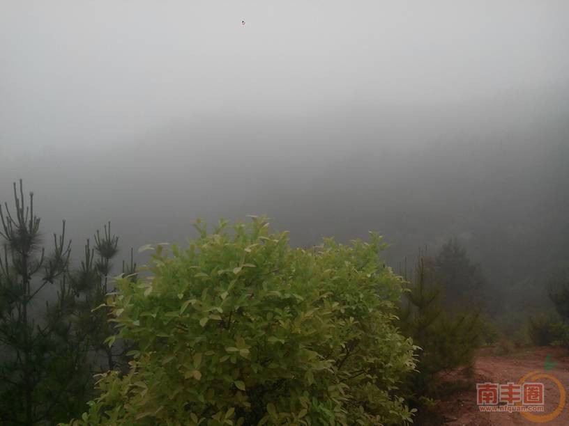 071059opyk9f0nfkpbkddy.jpg