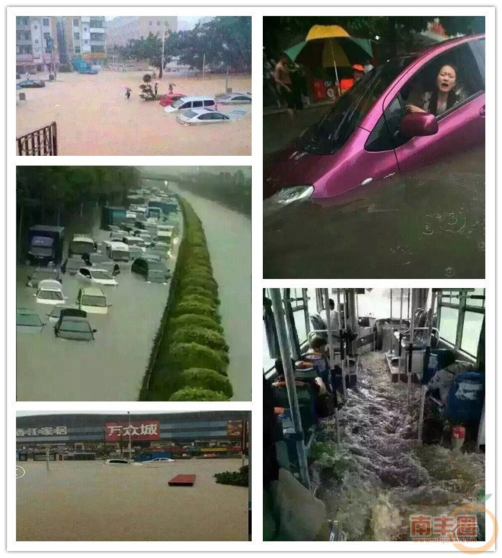 深圳.jpg