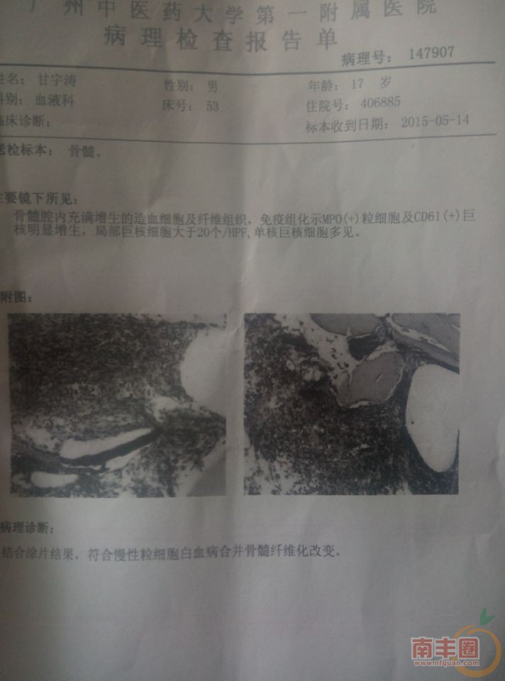 QQ图片20150601210001.jpg