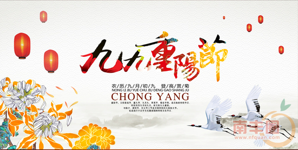 QQ截图20151021111511.png