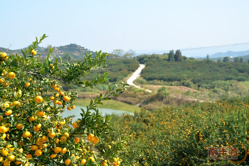 DSC_0490_副本.jpg