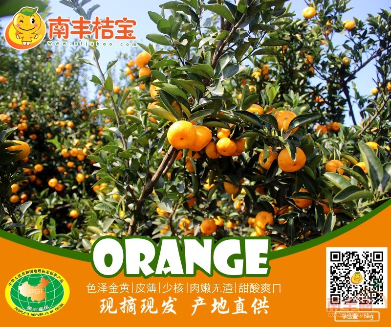 IMG_4034_副本6565.jpg