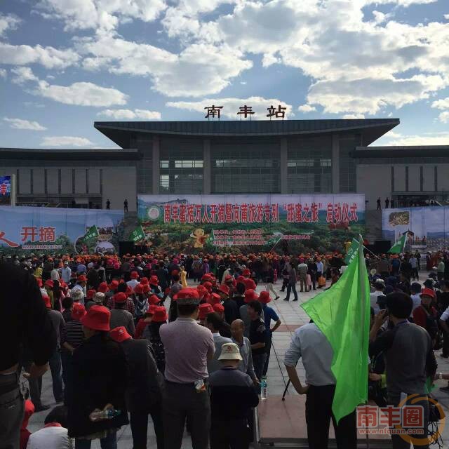 金秋的桔子mmexport1446863072412.jpg