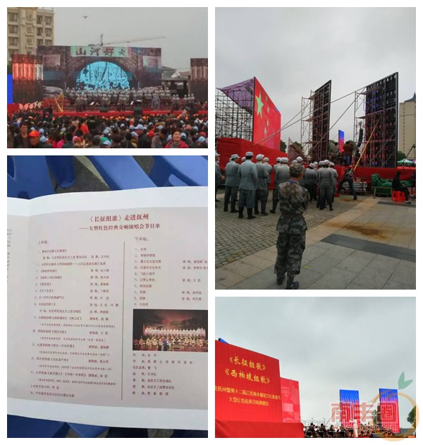 QQ图片20151110102733_副本.jpg