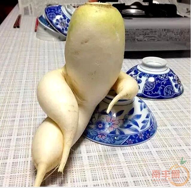 销魂的萝卜.jpg