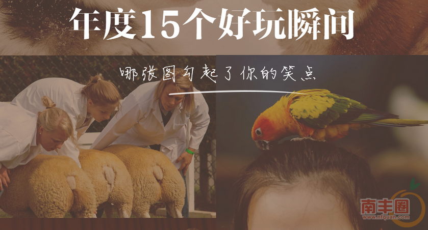 QQ截图20151209104700.png