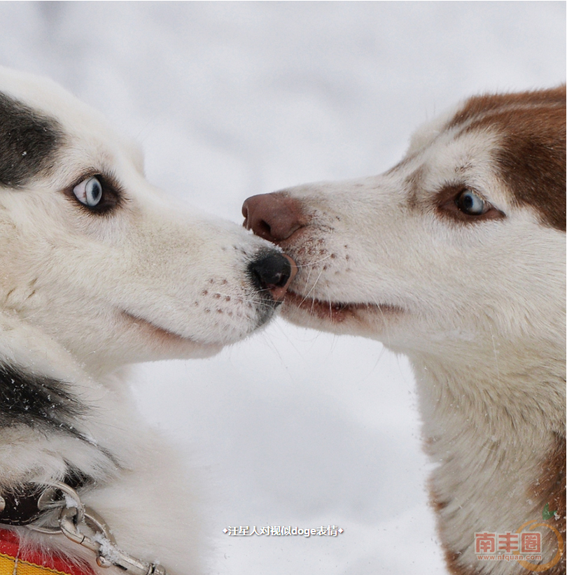 QQ截图20151209104932.png