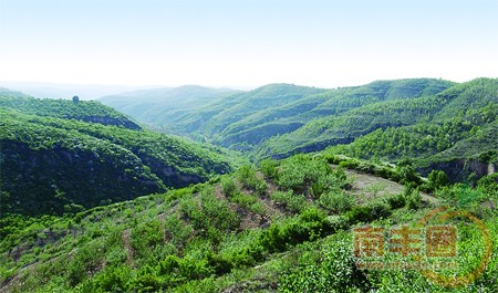 20110120094856856.jpg