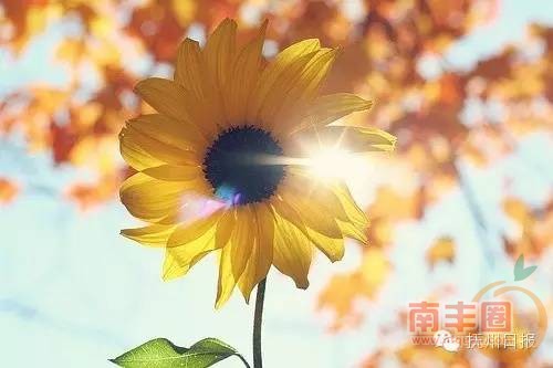 4ea3c9591b87e96ce5891a28de5ff691.jpg