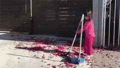 cb0e135ff4cf2f7216251cb247abe5fa.gif