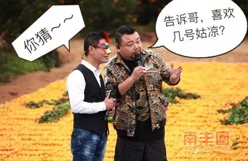 南丰8.webp_副本.jpg