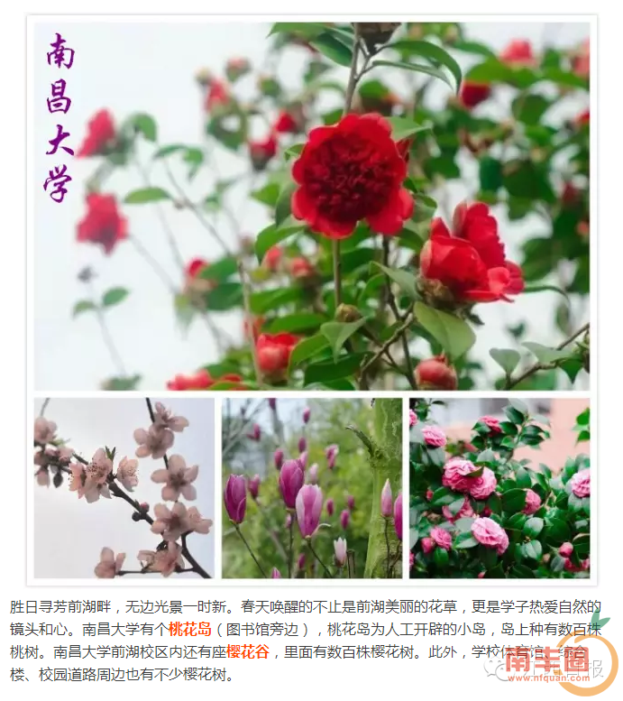 9039eb23fd2bd8717195b28ca5a9eec4.png